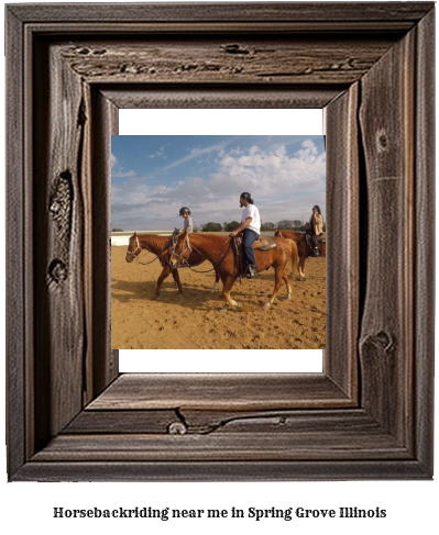 horseback riding near me in Spring Grove, Illinois